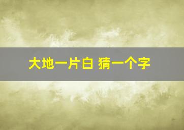 大地一片白 猜一个字